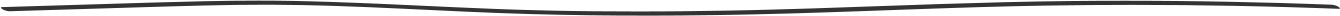 A decorative gray line for design purposes