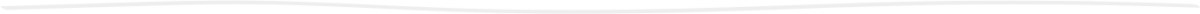 A decorative gray line for design purposes